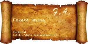 Fekete Anina névjegykártya